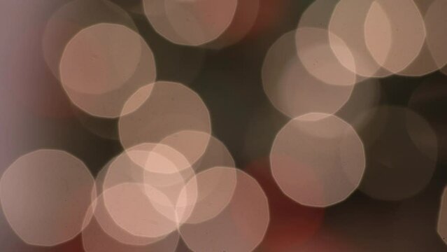 Close up Nutcracker legs at Christmas time. Slider shot of Nutcrackers waist. Deep Focus.