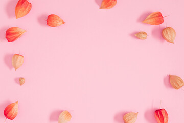 Autumn composition with physalis. Pattern with Physalis berries on pink background. Flat lay, top view, copy space.