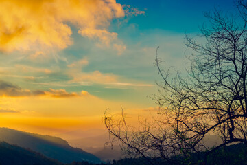 Awesome Amazing beautiful yellow clouds sky in nature Blue  orange colors. Branches of a dead tree against the sky.on the high mountain view point for tourists and photographer in Chiang Mai, Thailand