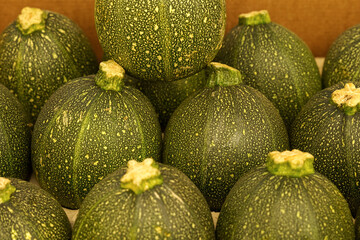 Showcase with round green zucchini. Food market, close-up