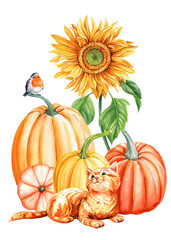 Cat, pumpkins and bird on an isolated white background. Watercolor illustration, hand drawing pumpkin. Autumn poster