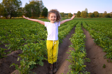 little farmer girl in potato field. Kid helper collecting colorado beetles. Child care harvest. Farm plantation growing vegetables. Season harvesting. eco friendly organic product