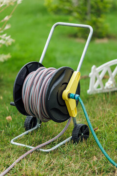 garden hose on a reel on wheels for watering plants stands in the garden.