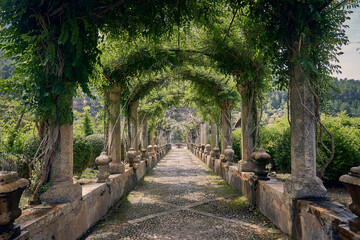 Fototapete bei efototapeten.de bestellen   