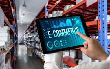 E-commerce data software provide modish dashboard for sale analysis to the online retail business