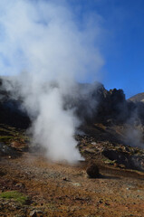 Fumaroles in Hveragerdi Icelands Rugged Active Landsape