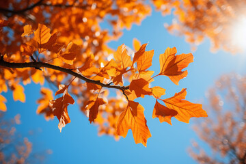 autumn leaves against a blue sky, generative ai