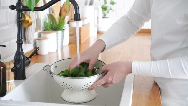 Woman hands washing arugula leaves in colander. High quality 4k footage