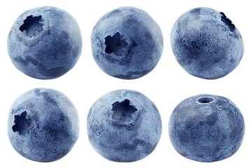 Blueberry isolated on white background, full depth of field