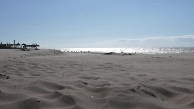 Sandstorm on the beach of Texel, the Netherlands. The beach with sea foam on a windy day. Den Helder