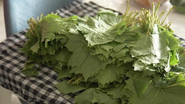 close-up grape leaves,vine leaves for stuffing,