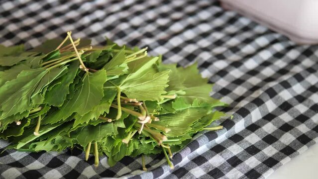 close-up grape leaves,vine leaves for stuffing,