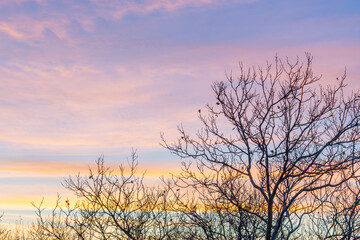 Fototapeta na wymiar Beautiful Brooklyn winter sky with clouds at red sunset