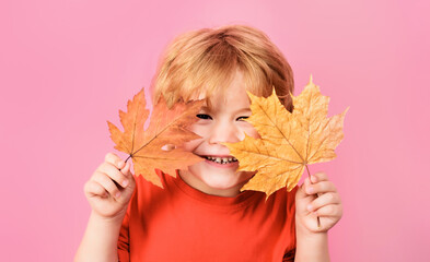 Autumn time. Happy child boy covers eyes with yellow maple leaves. Fall foliage. Happy childhood. Little kid playing with autumn fall maple leaves. Advertising. Season sale. Autumn childrens fashion.