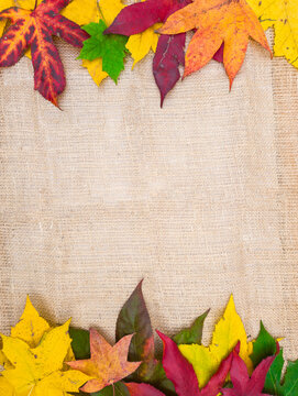 Burlap background with outline of autumn leaves of different colors.