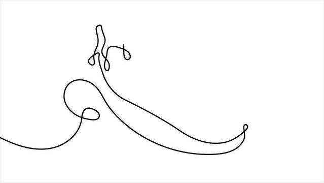 Animation in continuous line style