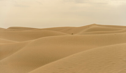 Fototapeta na wymiar desert landscape for banner background