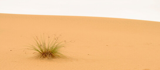 desert landscape for banner background