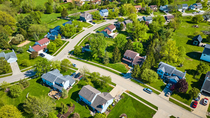 Neighborhood with tall trees in summertime aerial multiple homes