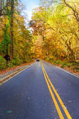 road passes through scenic autumn foliage trees in Virginia.