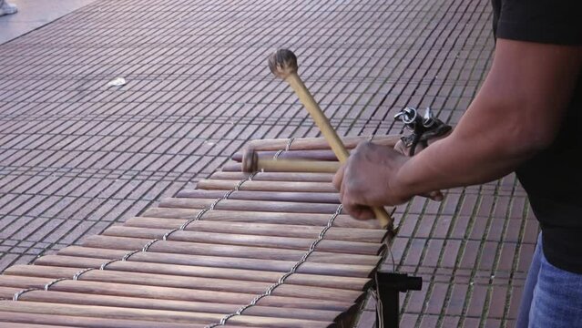 Street performer hands of musician playing the vibraphone xylophone in Cologne, Germany, slow motion