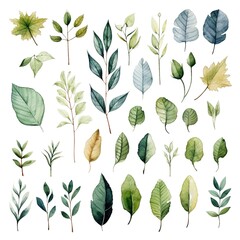 set of leaves and nature elements painted in watercolor on a white isolated background