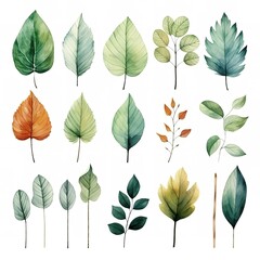 set of autumn leaves painted in watercolor on a white isolated background