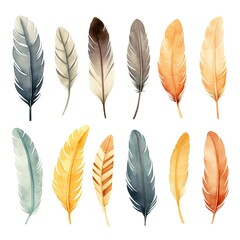 Watercolor collection of feathers. Flat hand-drawn illustration isolated on white background