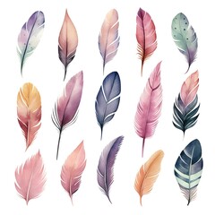 Watercolor collection of feathers. Flat hand-drawn illustration isolated on white background