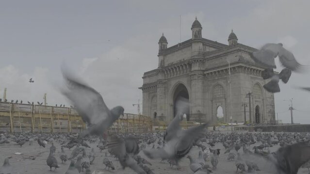 Gateway of India on an overcast day (log files)