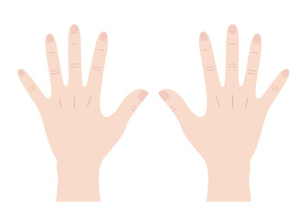 Vector illustration of the back of two hands - obrazy, fototapety, plakaty