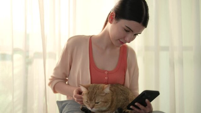 Beautiful young woman spends her free time on vacation playing with her beloved pet at home.