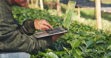Smart farmer holding smartphone in eco green farm sustainable quality control. Close up Hand...