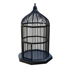 birdcage isolated on white