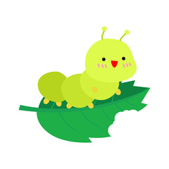 caterpillar with leaf