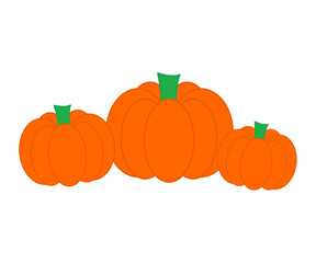 Orange pumpkin vector isolated on a white background