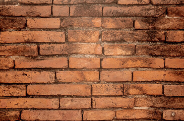 Fototapeta premium closeup textur of old brick wall