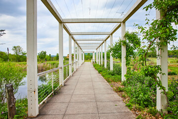 White pergola with pond beside the long trail and vines creeping up the side of a pillar