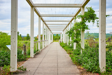 Long white pergola with concrete trail and purple wildflowers on side of trail and pond