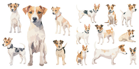 Watercolor Jack Russell dog clipart for graphic resources © Dgillustration12u