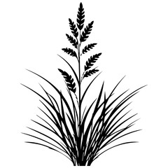 Grass