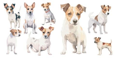 Watercolor Jack Russell dog clipart for graphic resources