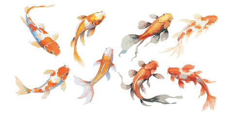 Watercolor koi fish clipart for graphic resources