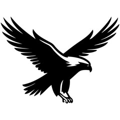 eagle in flight