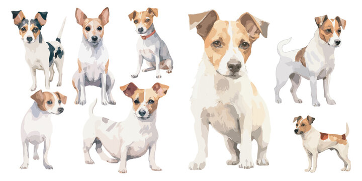 Watercolor Jack Russell dog clipart for graphic resources