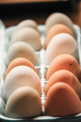 Fresh eggs from urban homesteading 