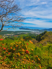 Fototapeta na wymiar Monkey Hill Viewpoint, Phuket, Thailand