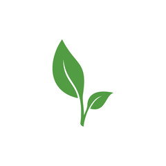 unique stylish eco biological nature green leaf leaves icon sign