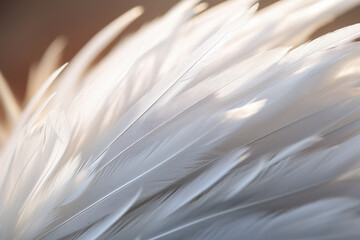 Closeup shot of a white feather - Generative AI