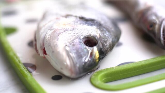 raw fresh bream fish on a marble counter